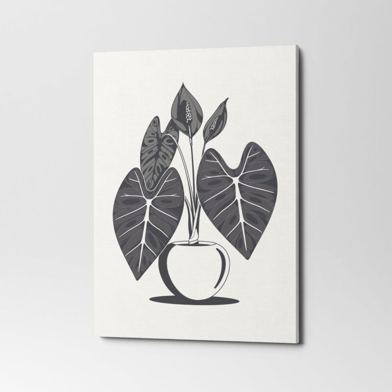 Hand Drawn Anthurium Plant Poster Canvas Wall Art - Image 3